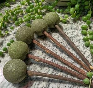 Vente en gros personnalisé différents jouets d'<span class=keywords><strong>herbe</strong></span> <span class=keywords><strong>à</strong></span> <span class=keywords><strong>chat</strong></span> en forme de sucette interactif favoriser la digestion jouet de balle d'<span class=keywords><strong>herbe</strong></span> <span class=keywords><strong>à</strong></span> <span class=keywords><strong>chat</strong></span> - Product Image 5