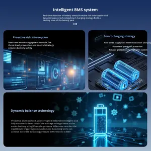HFH 48v 60v 72v电动三轮车低速踏板车磷酸铁锂电池组，用于城市通勤 - Product Image 4