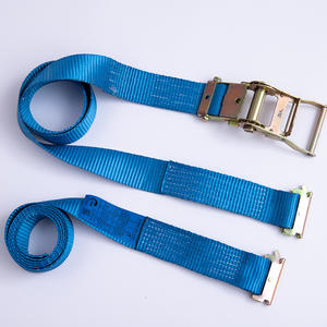 La courroie de rochet de voie de la cargaison E de camion ou de voiture attachent la courroie avec logistique pour Dry Van - Product Image 4