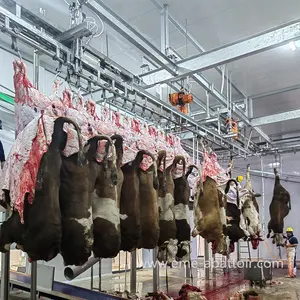 Large Slaughterhouse 250 Cattle Per Hour Halal Meat Processing Humane Cow Abattoir Equipment With Factory Competitive Price