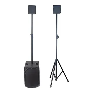 pa outdoor column speaker 2*4'' satellite speaker 10inch active dsp speaker subwoofer system