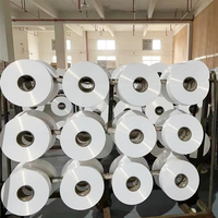 Haute qualité Cleanmax séchage rapide 150/48 150/288 DTY fil antibactérien Polyester pour tissage Textiles Stock Lot