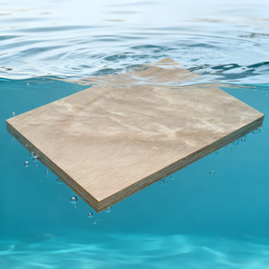 Panneau multicouche écologique imperméable de première classe E0, colle phénolique BS1088, décoration extérieure double face - Product Image 2