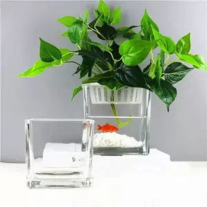 Modern square clear Ikebana hydroponics glass vase transparent cube square glass vase for sale