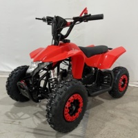 Quad ATV JINBANG 49cc de style nouveau - Vitesse maximale de 30 km/h - Origine Zhejiang - Fournisseur direct d'usine