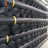 Geogrid Biaxial de PP de 20kN para Estabilización de Caminos y Refuerzo de Suelos, Malla Plástica de Alta Resistencia, Mejor Precio