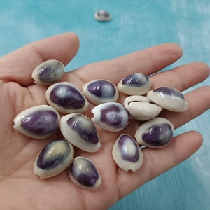Conchas de Cauri Doradas con Ojos Púrpuras o Azules o Conchas de Caracol Manzana para Decoración del Hogar, Acuarios y Playas - Belleza Exótica - Product Image 1
