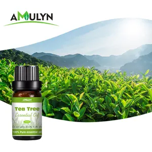 AMULYN高纯度化妆品级天然茶油10毫升100% 茶树精油