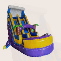 Castillo Inflable de PVC de 4x6 Metros, Personalizable, de Fácil Instalación, con Tobogán, Capacidad para 25 Personas, para Exteriores, Distribución Directa de Fábrica