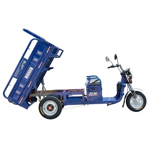 Chine Nouveaux modèles Déchargement à la main Caractéristiques du transport de marchandises portables Tricycles électriques à 3 roues 800w 60v pour le fret - Product Image 1