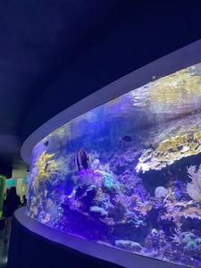 魚タンク農場養殖大型特大 - Product Image 3