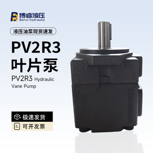 ปั๊มใบพัด PV2R3 ปั๊มน้ำมันไฮดรอลิกแรงดันสูงทนทานพร้อมข้อมูลจำเพาะ 125/136/153/52/60/66/76/85 - Product Image 4