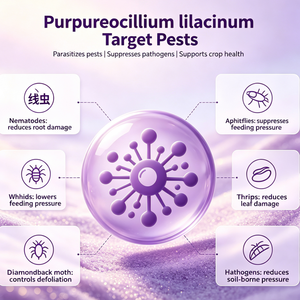 Poudre humectable bio-molluscicide et nématicide Purpureocillium Lilacinum haute puissance 100 milliards d'UFC/g - Product Image 2