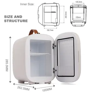 Mini frigorifero portatile da 4 litri all'ingrosso 6 lattine 12V Mini frigorifero per auto per bevande alimenti di bellezza snack cosmetici a doppio uso per la casa