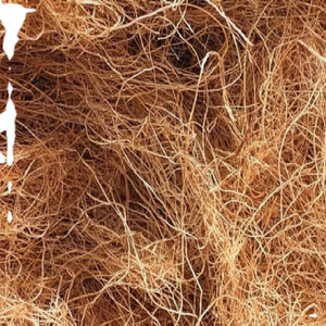 Fibre de noix de coco naturelle de haute qualité pour matelas brosses cordes tapis de culture paillis fibre de coco vente en gros de l'Inde - Product Image 1