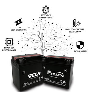 <span class=keywords><strong>Batterie</strong></span> de <span class=keywords><strong>moto</strong></span> VELA <span class=keywords><strong>YTX14</strong></span> 12V 12AH AGM, nouvelle <span class=keywords><strong>batterie</strong></span> au plomb pur de haute qualité pour remplacement/réparation, pour <span class=keywords><strong>moto</strong></span>, scooter, jet ski - Product Image 4