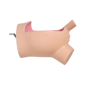 Modèle de mécanisme de <span class=keywords><strong>naissance</strong></span> mécanique avancé DARHMMY - Mannequin en PVC grandeur nature avec sections transversales et repères anatomiques réalistes - Product Image 3