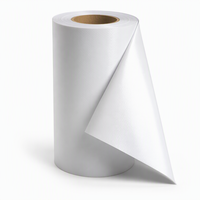 Bâche PVC brillante 340 GSM en rouleau, frontlit et backlit, imperméable, résistante aux UV, écologique, pour publicité extérieure, expositions et salons professionnels