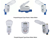 Hot Selling STS Prepaid Water Meter Smart IC Card Payment Durable Waterproof LCD Display Top Level Measuring Instrument