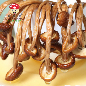 Vente en gros d'usine de champignons séchés Agrocybe <span class=keywords><strong>aegerita</strong></span> pour manger des champignons d'arbre à thé séchés aliments biologiques emballage personnalisé - Product Image 6