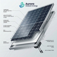 Panneau solaire 700W monocristallin de type N TOPCon, module photovoltaïque à haute efficacité pour l'énergie commerciale