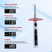Lampe de photopolymérisation dentaire LED sans fil à fibre optique / Lampe de polymérisation de résine dentaire à tête métallique haute intensité lumineuse