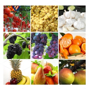 آلة صنع عصير العنب وفاكهة الباشن فروت التجارية، آلة استخراج عصير الجزر، آلة عصر الزنجبيل - Product Image 6