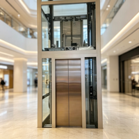 Ascensore Idraulico Domestico da 400kg con Controllo VVVF Silenzioso per Edifici Residenziali Moderni, Risparmio Energetico e Viaggio Confortevole