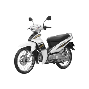 Moto de banlieue 110cc Sirius en gros avec roue à rayons, frein à disque, moteur 4 temps à essence - Product Image 1