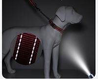 Collier d'entraînement pour animaux de compagnie, moderne, de luxe, en gros, faible MOQ, en chaîne P, durable, doux, respirant, couleur unie, anti-traction, robuste et réglable