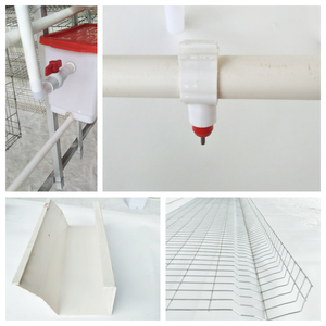 Yüksek Kaliteli 96-160 Tavuk Kapasiteli Katmanlı Tavuk Kafesi Çiftlik Tasarımı Tavuk Kümesi Kanatlı Hayvanlar Batarya Çiftçiliği Yumurtlama Tipi A Tavuk Kafesi Satılık - Product Image 4