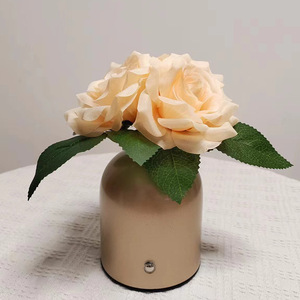 Adorno de lámpara de moda champán rosa lámpara Decoración de mesa regalo Uionen 2224 - Product Image 5