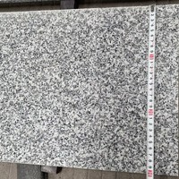 Pierre naturelle granit gris clair poli G623 pour escaliers et marches