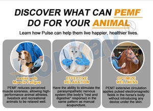 Máquina PEMF Portátil para Alivio del Dolor Muscular en Patas de Caballos, Perros y Gatos, Terapia para Mascotas con Tapete o Bucle, Fisioterapia Magnética - Product Image 3