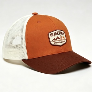 Gorra Trucker Personalizada de Dos Tonos con Logotipo, Malla Trasera, Visera Curva, Cierre Ajustable de Plástico, Estilo Vintage para Exteriores, OEM ODM - Product Image 2