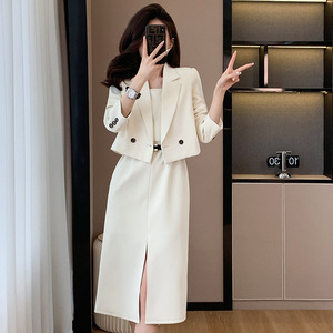 Women's Short Sleeve Suit Set Autumn Casual Satin Anti-Wrinkle Professional Stylish Pants Jacket For Petite Figures - Product Image 5