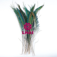 Haute qualité en gros teint paon épée plumes de paon pour Costumes de danse robe décoration vêtement coiffure sac à dos