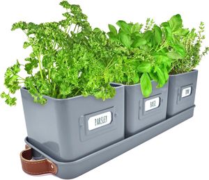 <strong>Herb</strong> Pots for <strong>Kitchen</strong> Windowsill Set of 3 <strong>Herb</strong> <strong>Planter</strong> Indoor with Leather Handled Tray Indoor <strong>Herb</strong> Garden - Product Image 2
