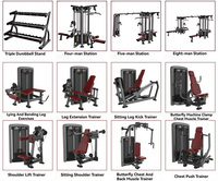 Appareil professionnel commercial de musculation en acier pour salle de sport : Machine Pec Fly assise et pour Deltéens Postérieurs