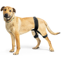 Attelle orthopédique pour dysplasie de la hanche canine avec support réglable pour les pattes arrière et soulagement de la douleur d'un ligament croisé inférieur déchiré, utilisation facile