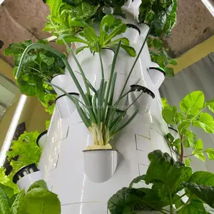 Hydroponics Plant Tower Kit Aweoponi Tower Gardens The Citys Viewing Tower Is High Deep Tank