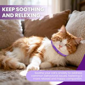 Collier apaisant pour chats, soulage l'anxiété, le stress et la séparation, avec phéromones, flexible et réglable - Product Image 4
