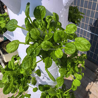 Système de culture verticale hydroponique à 7 étages et 28 trous, directement de l'usine, pour la culture de légumes, de laitues et d'herbes en serre