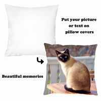 Housse de coussin personnalisée en sublimation pour canapé, taie d'oreiller imprimée sur mesure