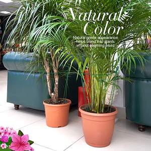 แหวนรองครึ่งรอบ9.4 "กว้าง x 15.6" สำหรับสวนโลหะเสาสูงสีเขียวรองรับกรงพืช - Product Image 5