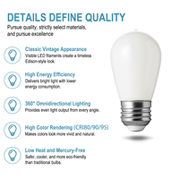 Ampoule LED à filament de verre ST45/ST14, CRI90, dimmable, 2W, culot E26/E27, température de couleur 2200K-6000K, certifiée CE, pour une utilisation multi-scènes