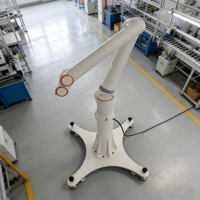 Robot Colaborativo de Seis Ejes FR10 FR16 10KG 16kg con Motor PLC, Alcance de 1034mm, Uso Industrial para Restaurantes/Cocina de Pollo Frito