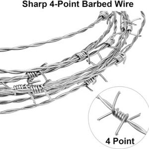 <span class=keywords><strong>Fil</strong></span> barbelé plat <span class=keywords><strong>de</strong></span> 10 kg, <span class=keywords><strong>fil</strong></span> rasoir plat, <span class=keywords><strong>fil</strong></span> concertina en <span class=keywords><strong>bobine</strong></span> - Product Image 2