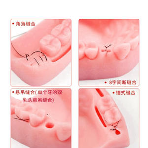 Módulos de Entrenamiento Dental para Dientes y Encías, Instrumentos Quirúrgicos Orales, Kit de Suturas, Equipo Esencial para Terapia y Accesorios - Product Image 2