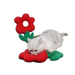 새로운 도착 고양이 민트 장난감 다채로운 고양이 장난감 애완 동물 자기 만족 장난감 물린 방지 몰 스틱